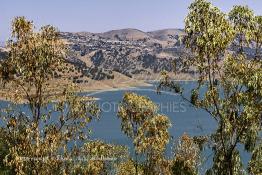 Image du Maroc Professionnelle de  Le barrage Oued El Makhazine, conçu pour le développement et  l'irrigation du périmètre du Loukkos. Ainsi les champs situés dans le triangle Ksar El Kébir, Larache, Moulay Bouselham profitent de cette infrastructure. Cette importante réalisation située sur El Oued Loukkos sert à la régularisation inter annuelle des débits tout en formant une protection contre les crues, au Jeudi 1er Septembre 2005 à cette datte le barrage dispose 309 Million de M3. (Photo / Abdeljalil Bounhar) 